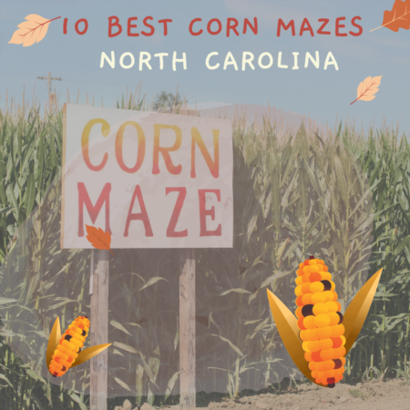 Best Corn Mazes in North Carolina
