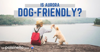 Best Dog Parks & Dog Friendly Attractions Near Aurora ON