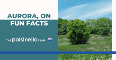 5 Aurora Fun Facts: How Many Do You Know?