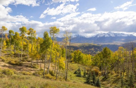 Check out the market in Telluride, CO 81435 (March 28, 2023)