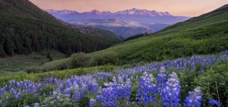 Telluride Peak Sheet: July 14 - 20, 2023