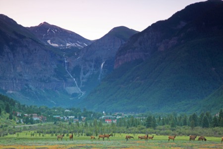Telluride Air and Logding Update (August 25 - 31)