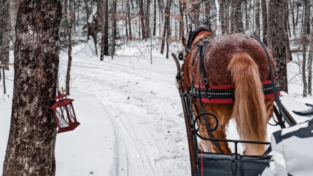 Discover the Magic of Telluride's Santa Sleigh Rides with Mountain Rose Realty