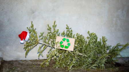 Transforming Holidays into Sustainability: Christmas Tree Recycling in Telluride