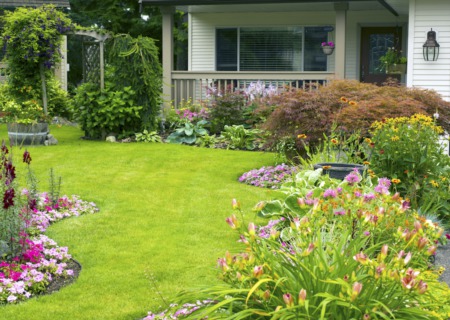 6 Cost Effective Landscaping Projects