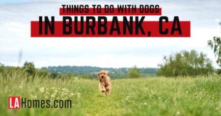 Dogs Love Burbank: 9 Dog-Friendly Restaurants, Parks & Activities in Burbank