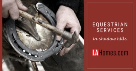 Shadow Hills Equestrian Services: Los Angeles Horse Owners Guide