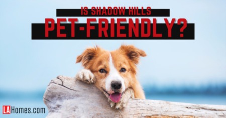 Is Shadow Hills Good for House Pets? Vet Clinics & Pet Stores in Shadow Hills Los Angeles
