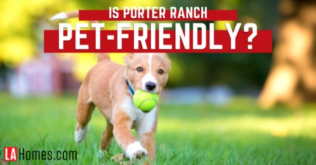 Pampered Pets In Porter Ranch: Neighborhood Dog Parks, Pet Stores & Vet Clinics