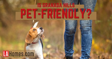 Granada Hills is a Place for Pets: Local Dog Parks, Pet Stores & Vet Clinics