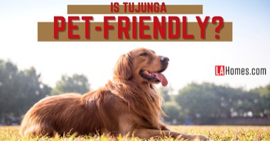Is Tujunga Pet Friendly? Dog Parks, Pet Stores & Vet Clinics For Homes With Pets in Tujunga 