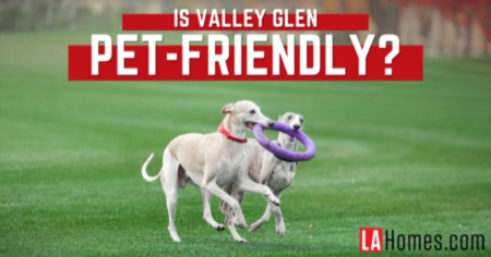 Is Valley Glen Good For Pet Owners: Nearby Dog Parks, Pet Stores, Vets & Pet-Friendly Perks