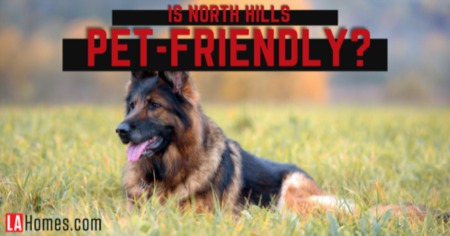 Is North Hills a Good For Pet Owners? Discover Dog Parks, Pet Stores & Vet Clinics Near North Hills