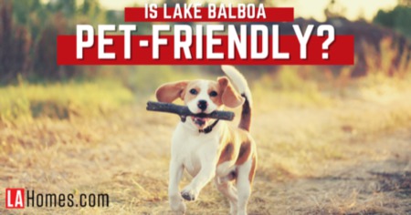 Is Lake Balboa Pet-Friendly? Best Dog Parks, Pet Stores & Vets Near Lake Balboa