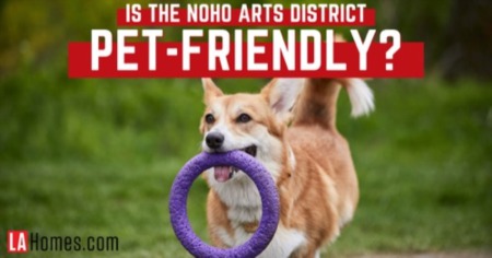 Is NoHo Arts District Pet-Friendly? Best Dog Parks, Pet Stores & Veterinarians Near NoHo Los Angeles