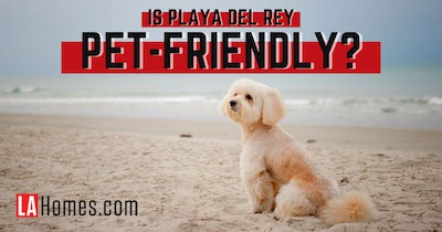 Is Playa Del Rey Pet-Friendly? Playa Del Rey Dog Parks & Pet Owner Resources