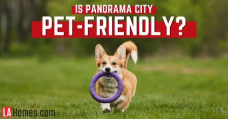 Panorama City Dog Parks: How Dog-Friendly is Panorama City, Los Angeles?