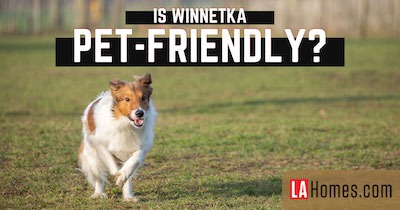 Winnetka Dog Parks: How Dog-Friendly is Los Angeles' Winnetka Neighborhood?