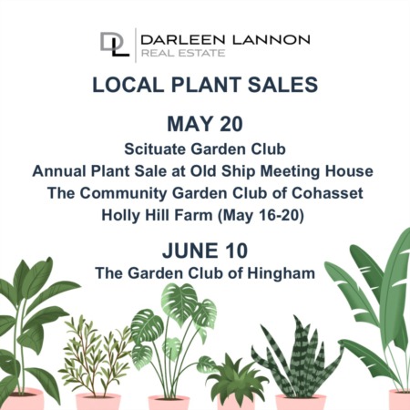 South Shore Plant Sales