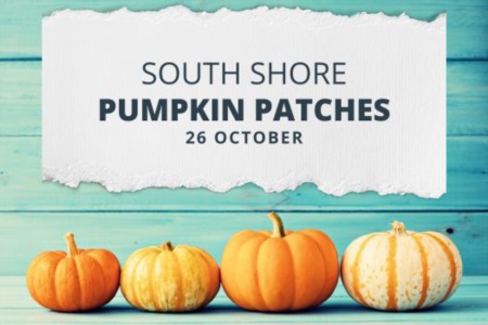 Pumpkin Patches on the South Shore