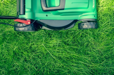 Happy Lawn & Garden Month!