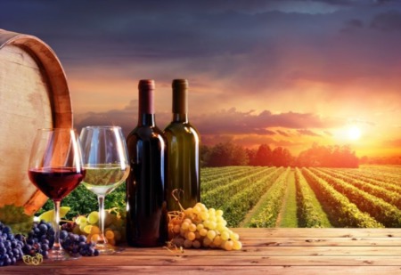 What is the Patuxent Wine Trail?