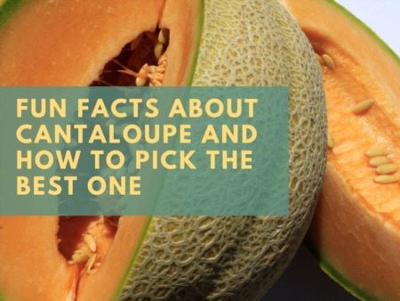 Fun Facts About Cantaloupe and How to Pick the Best One