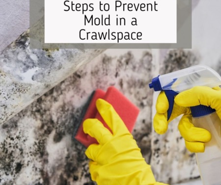 Steps to Prevent Mold in a Crawlspace