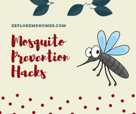 Mosquito Prevention Hacks