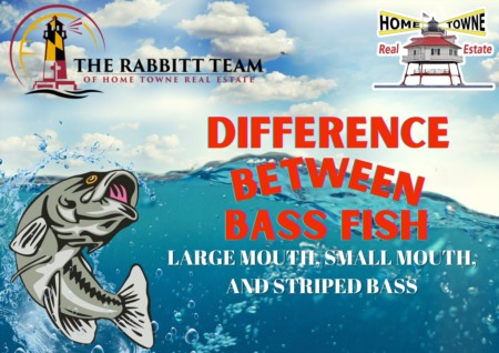 Difference between Bass Fish- Large Mouth, Small Mouth, and Striped Bass