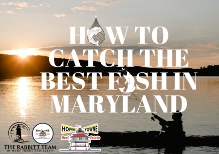 How to Catch the Best Fish in Maryland