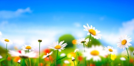 Homebuyer Activity Warming Up for Spring