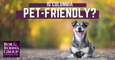 Is Columba Dog Friendly? Columbia Dog Park & Pet Friendly Things to Do [2023]