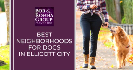 8 Most Dog-Friendly Neighborhoods in Ellicott City: Find a Dog-Friendly Home