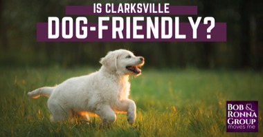 Is Clarksville Dog Friendly? Dog Parks Near Clarksville & Best Things to Do With Your Dog