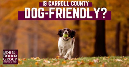 Dog Parks in Carroll County: How Dog-Friendly is Carroll County, MD?