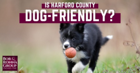 Dog Parks in Harford County MD: How Dog-Friendly is Harford County?