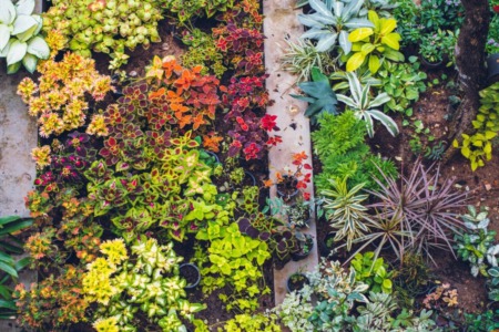 9 Ways to Rethink Your Landscaping for Severe Weather