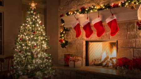 What's Happening in the Bay! || HOLIDAY EDITION ||