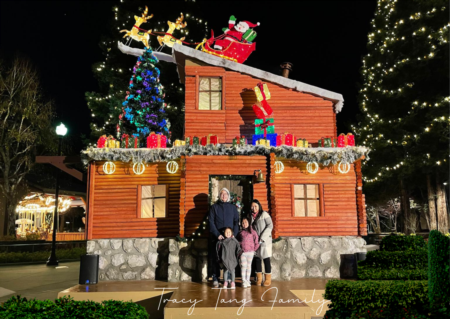 Year 2022 with Tracy Tang Homes