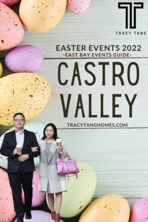Celebrate And Experience Easter Holidays in Castro Valley  this Coming Spring Festival!
