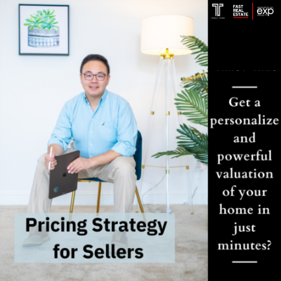 Pricing Strategy for Sellers