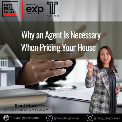 Why an Agent Is Necessary When Pricing Your House