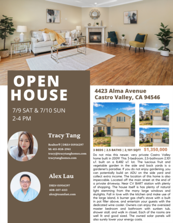 Open House in Castro Valley 
