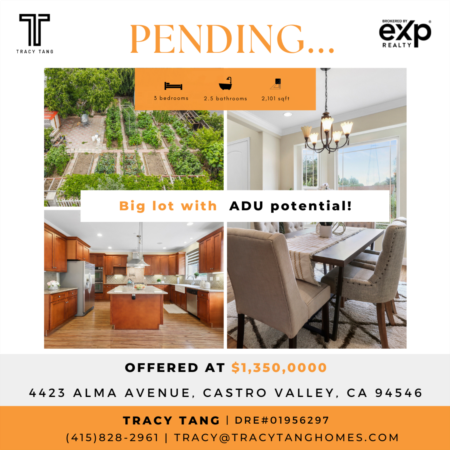 Pending! - Big lot with  ADU potential and Very Private Castro Valley Home!