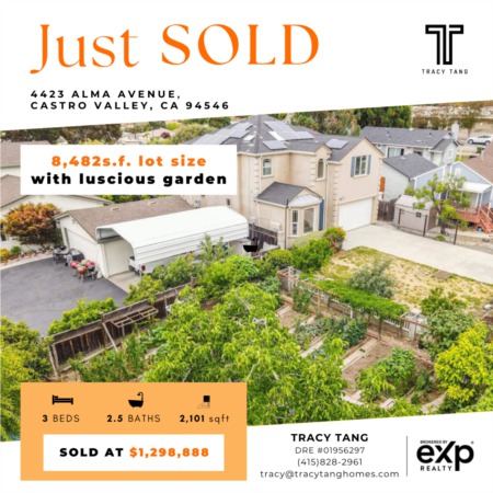 Just Sold - Big lot with  ADU potential and Very Private Castro Valley Home!