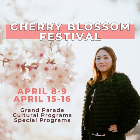 Northern California Cherry Blossom Festival 2023: Celebrating Japanese and Japanese American Culture Live and In Person!