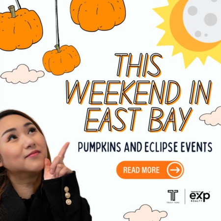 Top Things to Do in East Bay: Pumpkin Events and Eclipse Viewing in 2023