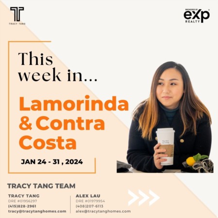 Lamorinda and Contra Costa - Weekly Market Report: JAN 24 - 31, 2024