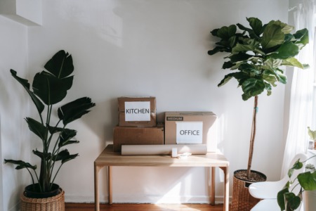 Why It Makes Sense To Move Before Spring